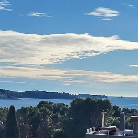 Villa Salvia Rooms And Apartments Rovinj Ngoại thất bức ảnh