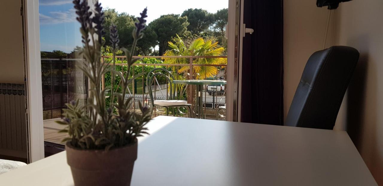 Villa Salvia Rooms And Apartments Rovinj Ngoại thất bức ảnh